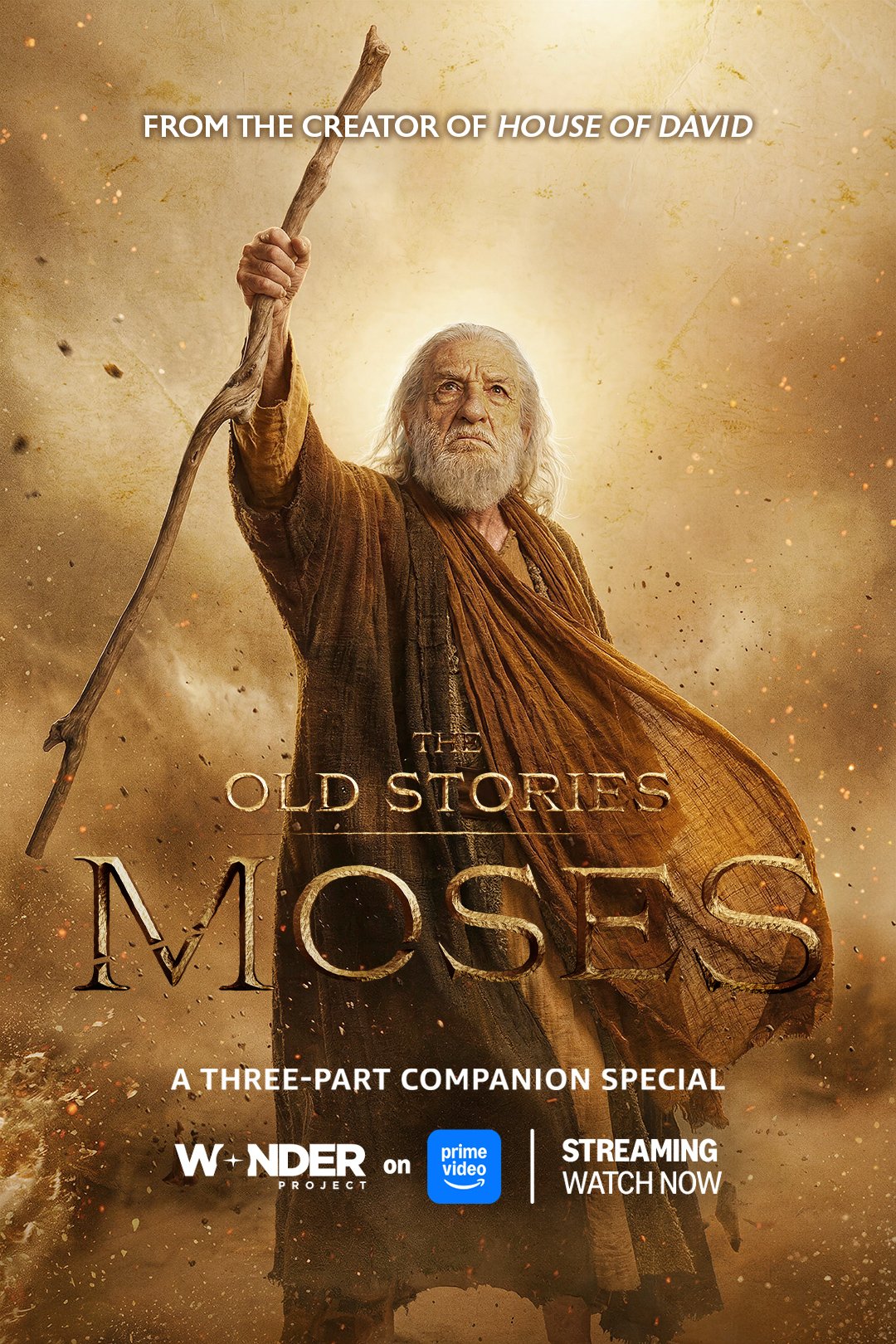 The Old Stories: Moses poster
